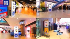 由于《黑：悟空》的故事系统取《西纪行》慎密